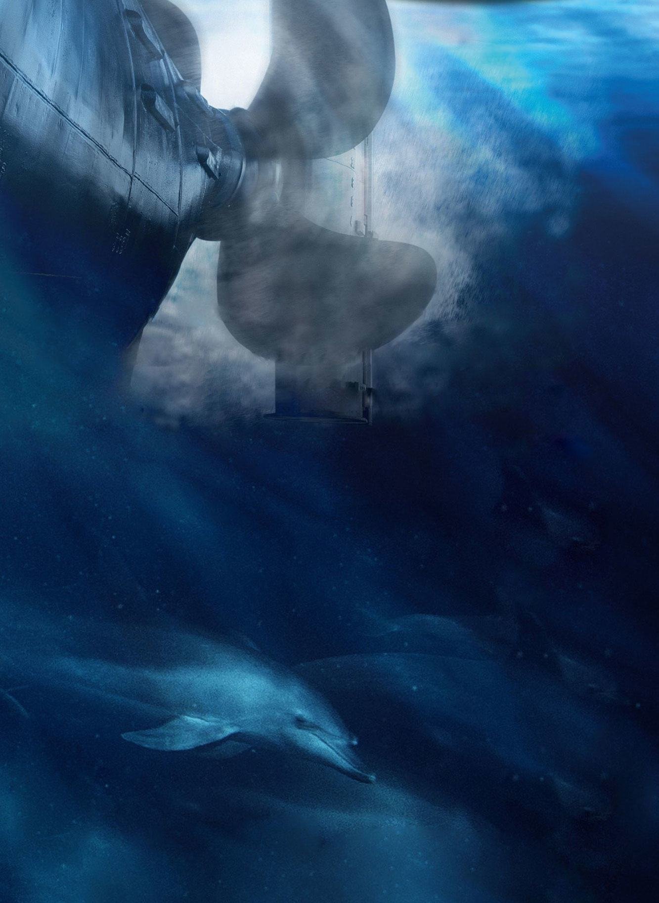 Scientists have documented how the constant mechanical hum of ships can disorient whales, disrupt migration routes, and drown out the acoustic cues that many marine species rely on to survive. Scientists have documented how the constant mechanical hum of ships can disorient whales, disrupt migration routes, and drown out the acoustic cues that many marine species rely on to survive.
